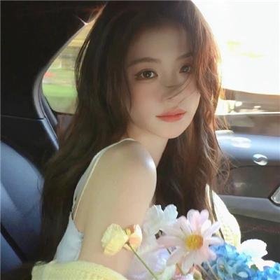 明珠游龙封面