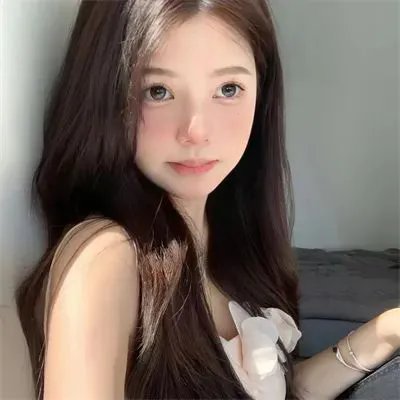 淡季封面