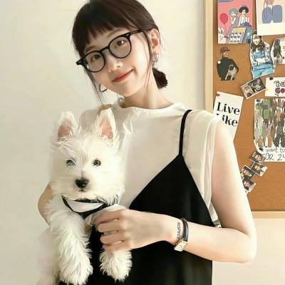 静静的顿河封面