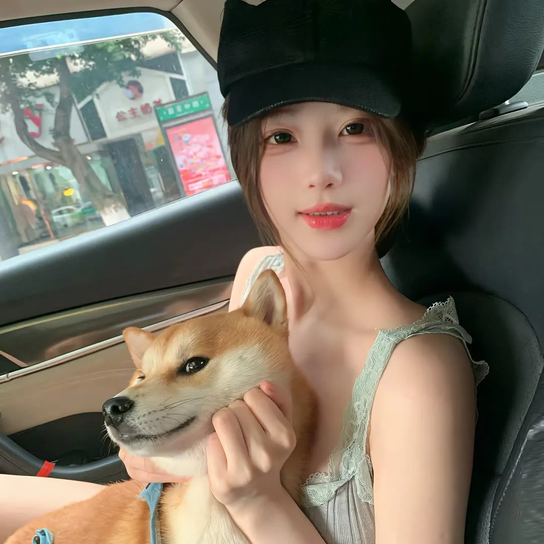 汪汪队立大功第一季封面